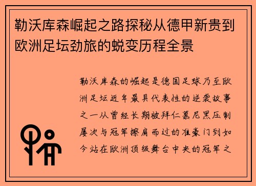 勒沃库森崛起之路探秘从德甲新贵到欧洲足坛劲旅的蜕变历程全景 勒沃库森崛起之路探秘从德甲新贵到欧洲足坛劲旅的蜕变历程全景